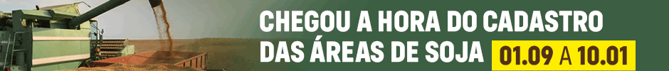 PLANTIO SOJA